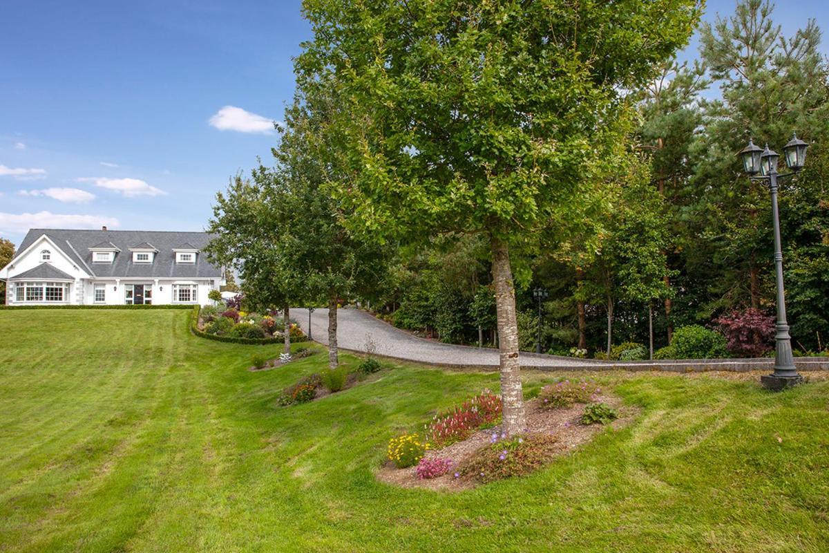 The Ridgewood Lodge Newbridge  Esterno foto
